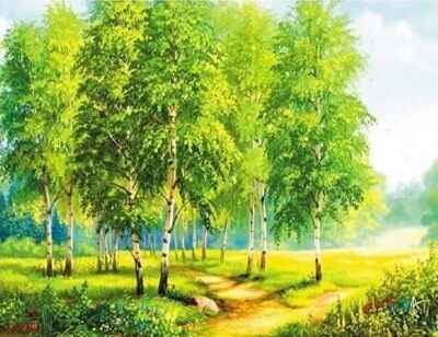 Берёзовая роща