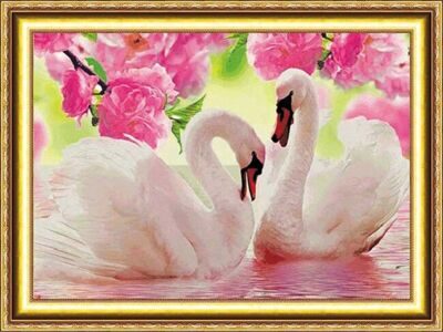 Лебеди на воде