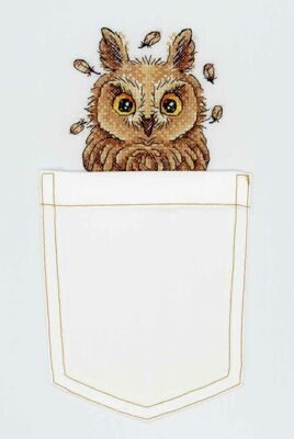 Сказка своими руками Любопытная совушка