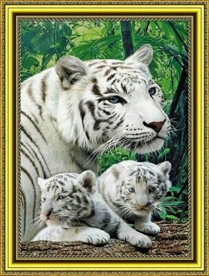 Белая тигрица с тигрятами