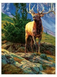 Зов вожака оленей