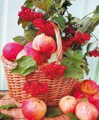 Корзина с яблоками и калиной