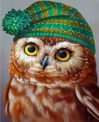 Сова в шапочке