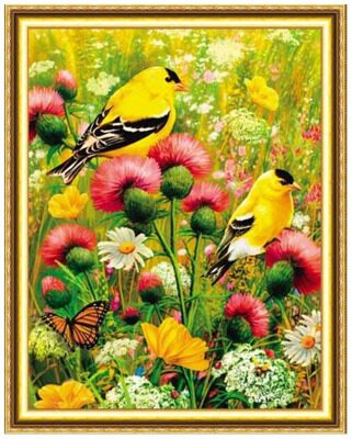 Жёлтые птички на лугу